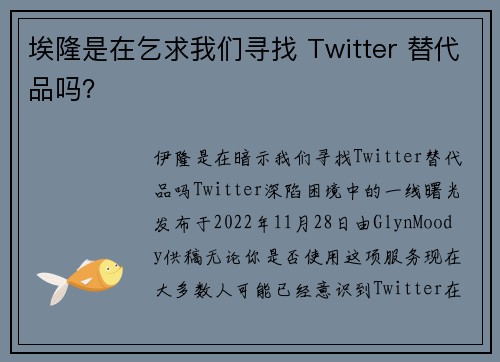埃隆是在乞求我们寻找 Twitter 替代品吗？ 