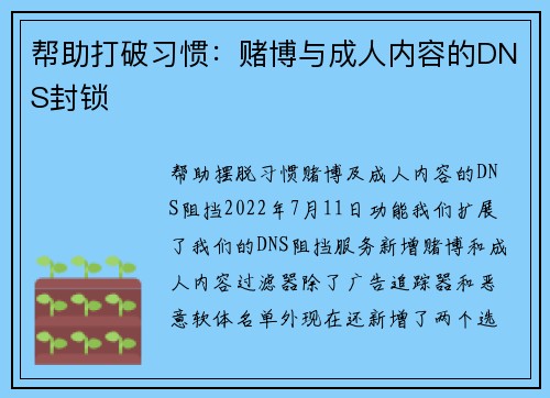 帮助打破习惯：赌博与成人内容的DNS封锁 